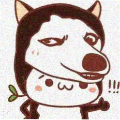 用户 Yuki 头像